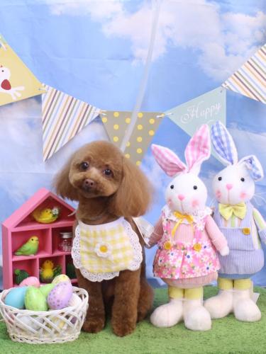 20240310このはちゃん